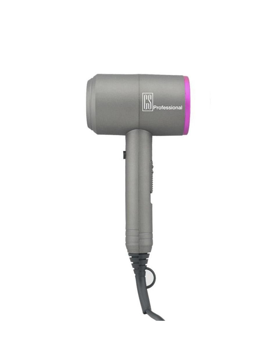 GS Professional D Dryer