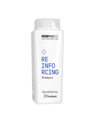 Morphosis Reinforcing Shampoo - 250ml