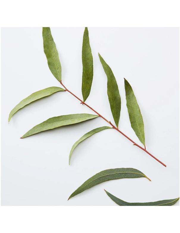 American Crew 3-in-1 Chamomile Pine - 450ml