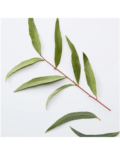 American Crew 3-in-1 Chamomile Pine - 1000ml