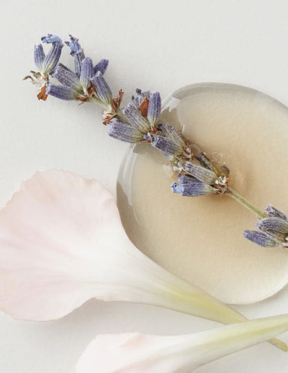 AG Colour Savour Shampoo - 296ml