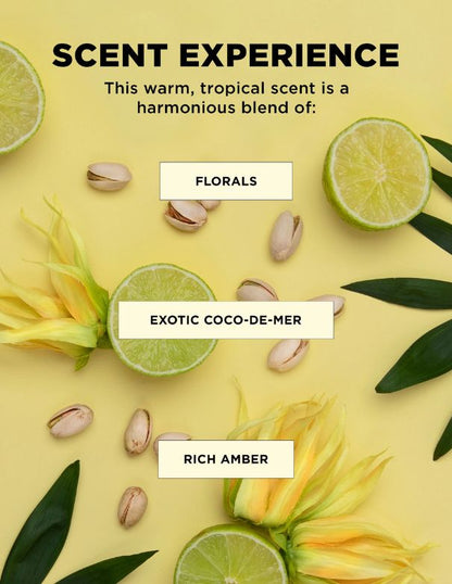 BounceME Dream Mane Curl Kit