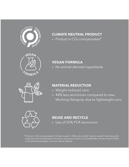 Goldwell StyleSign Working Hairspray - 222g