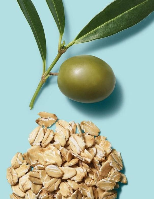 Paul Mitchell Clean Beauty Hydrate Shampoo - 250ml