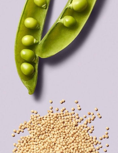 Paul Mitchell Clean Beauty Repair Shampoo - 1L