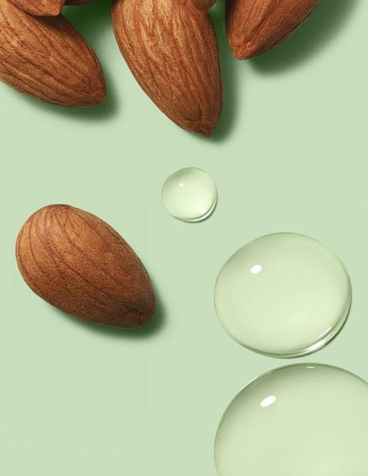 Paul Mitchell Clean Beauty Anti-Frizz Conditioner- 1L