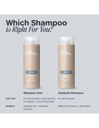 Shampooing Classique Awapuhi Paul Mitchell - 1L