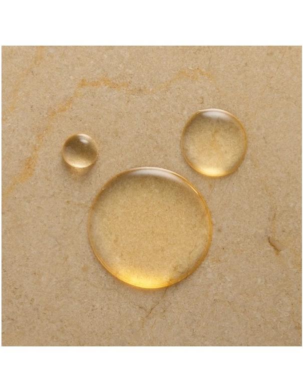 Moroccanoil Shower Gel Assorted - 250ml