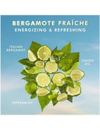 Moroccanoil Hand Cream Bergamote Fraiche - 100ml