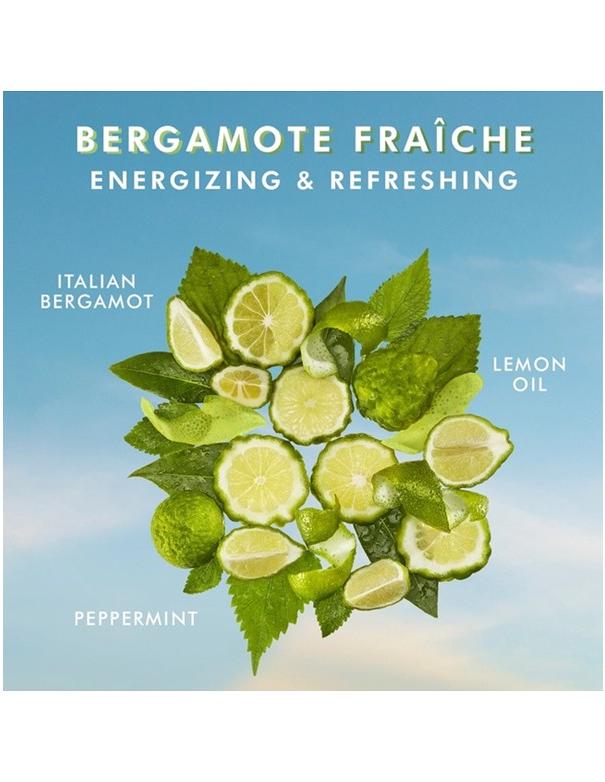 Moroccanoil Hand Cream Bergamote Fraiche - 100ml