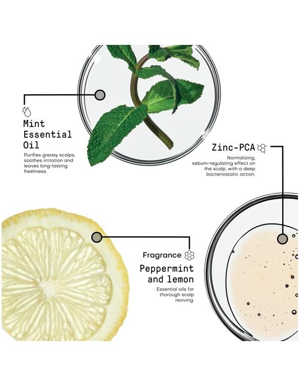 Shampooing Morphosis Balance - 250 ml