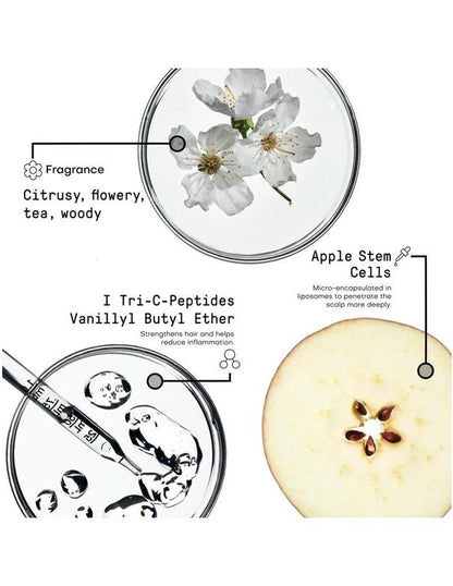 Morphosis Densifying Shampoo - 1000ml