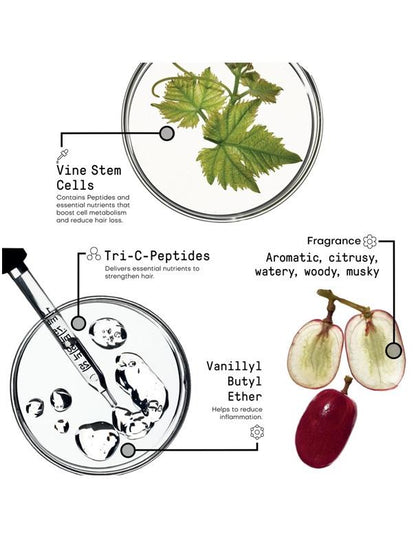 Morphosis Reinforcing Activator - 7ml
