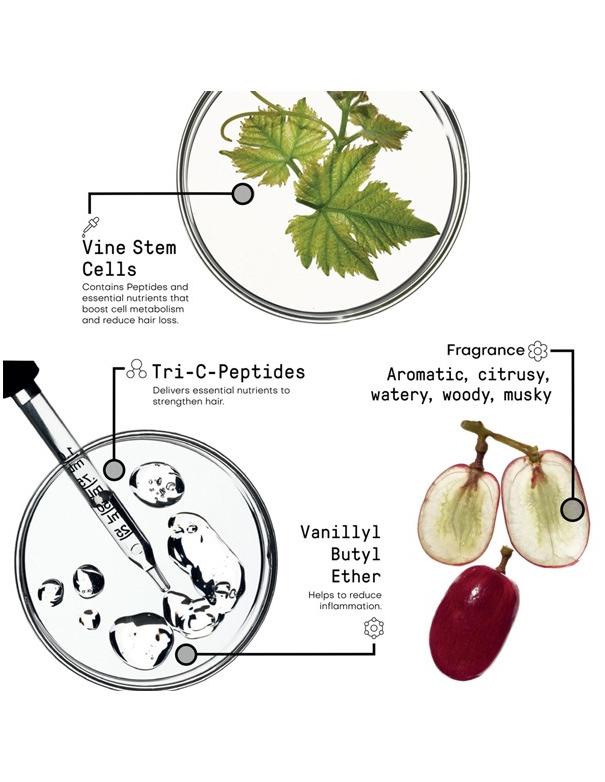 Morphosis Reinforcing Energizing Spray - 150ml