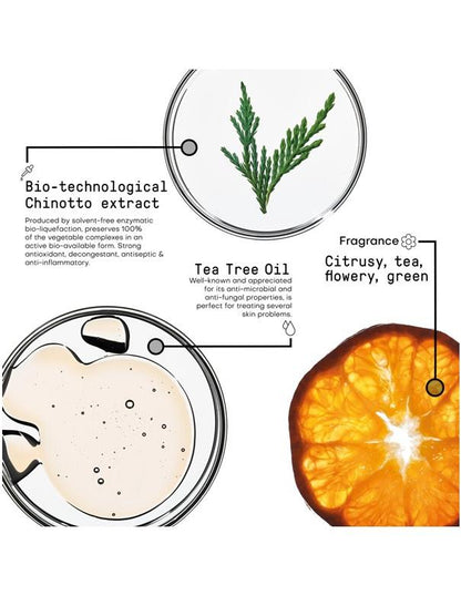 Morphosis Purifying Shampoo - 250ml