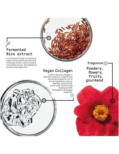 Morphosis Restructure Shampoo - 1L