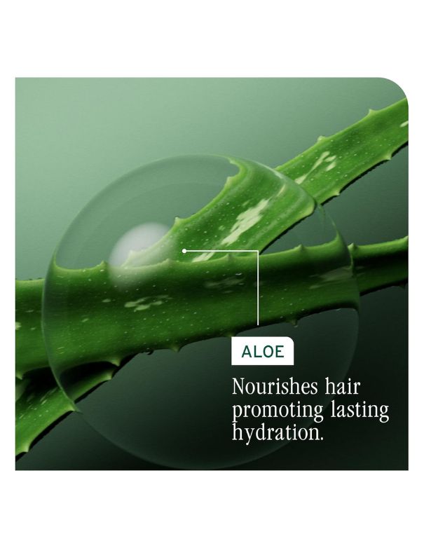 Biolage HydraSource Shampoo - 1L