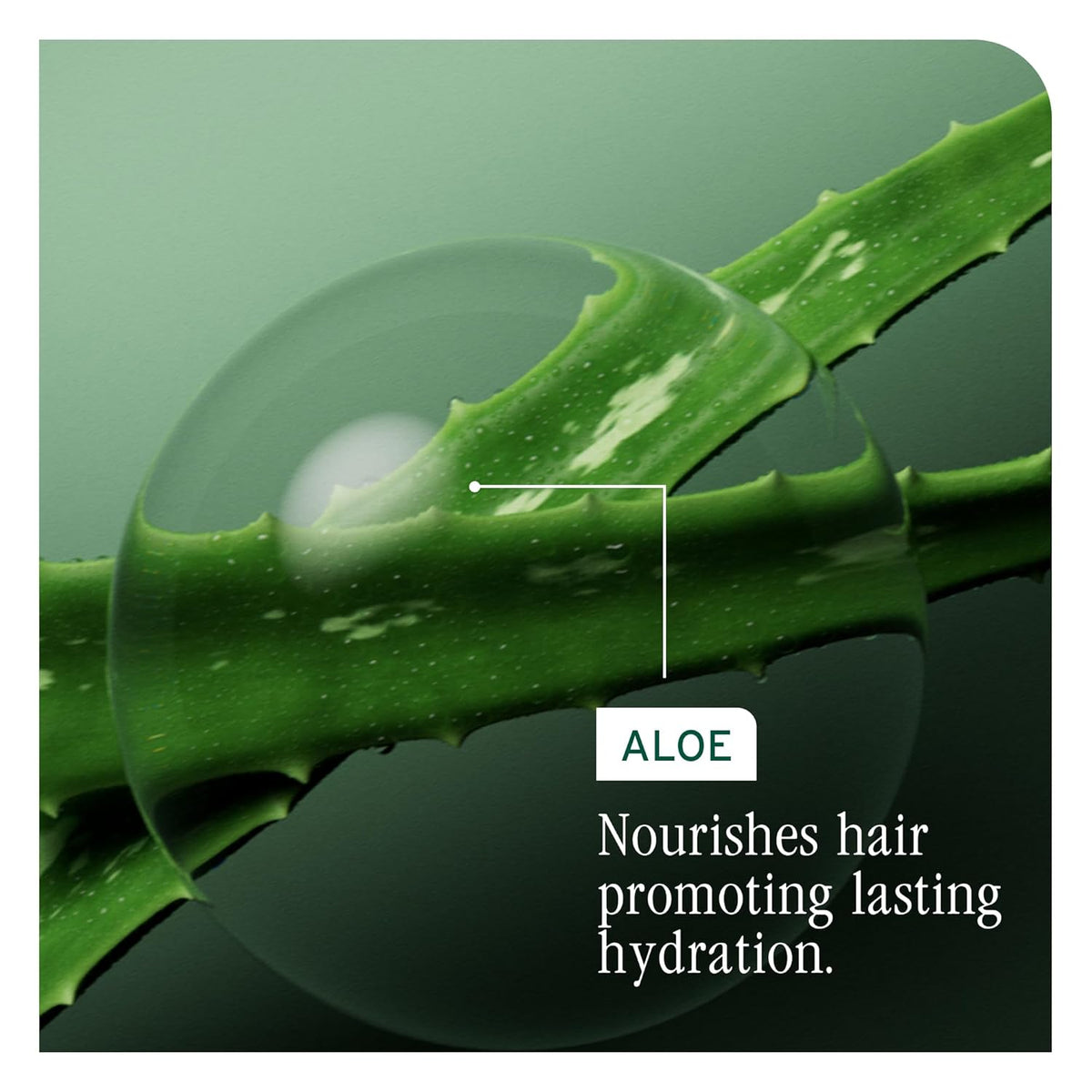 Biolage HydraSource Shampoo - 400ml