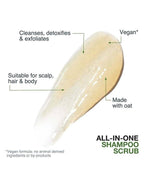 Biolage All-In-One Shampoo Scrub - 250ml