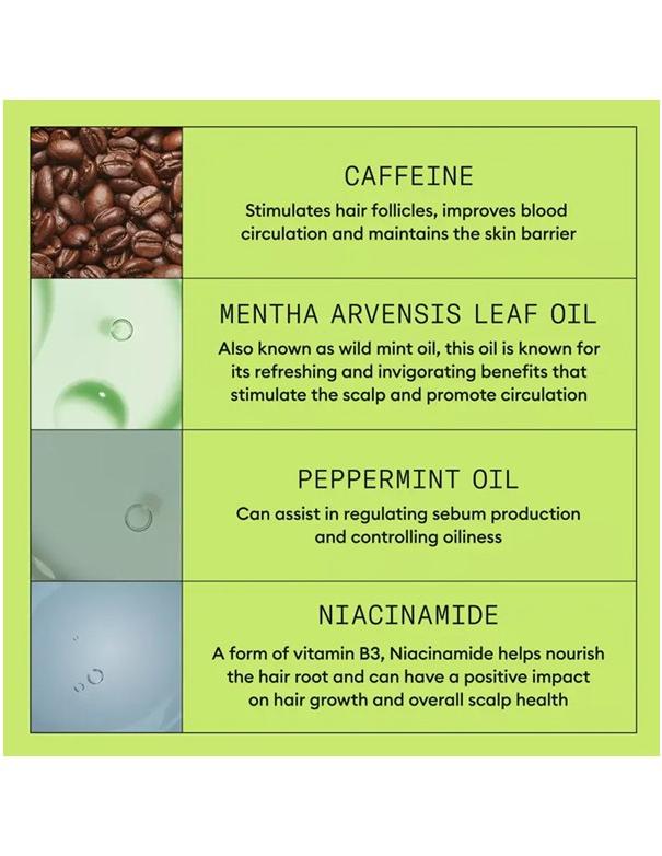 Nioxin System 2 Scalp & Hair Shampoo - 300ml