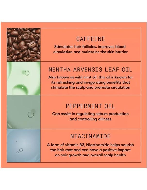 Nioxin System 4 Scalp & Hair Shampoo - 300ml