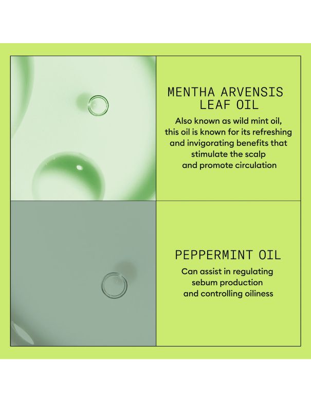 Nioxin System 2 Scalp + Hair Conditioner - 500ml