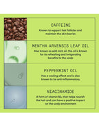 Kit Nioxin System 2