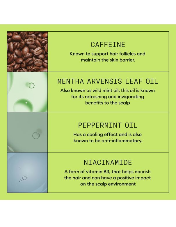 Kit Nioxin System 2