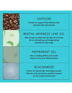 Kit Nioxin Système 3