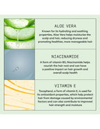 Nioxin Scalp Relief System Kit