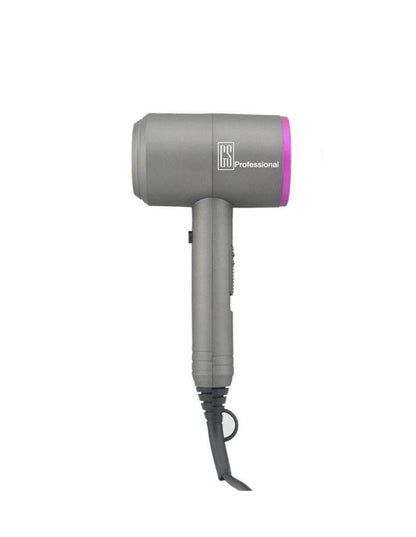 GS Professional D Dryer