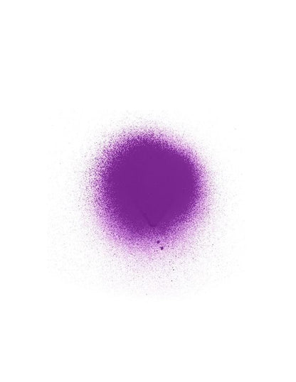 Punky Colour Temporary Hair Color Spray Panther Purple - 100g